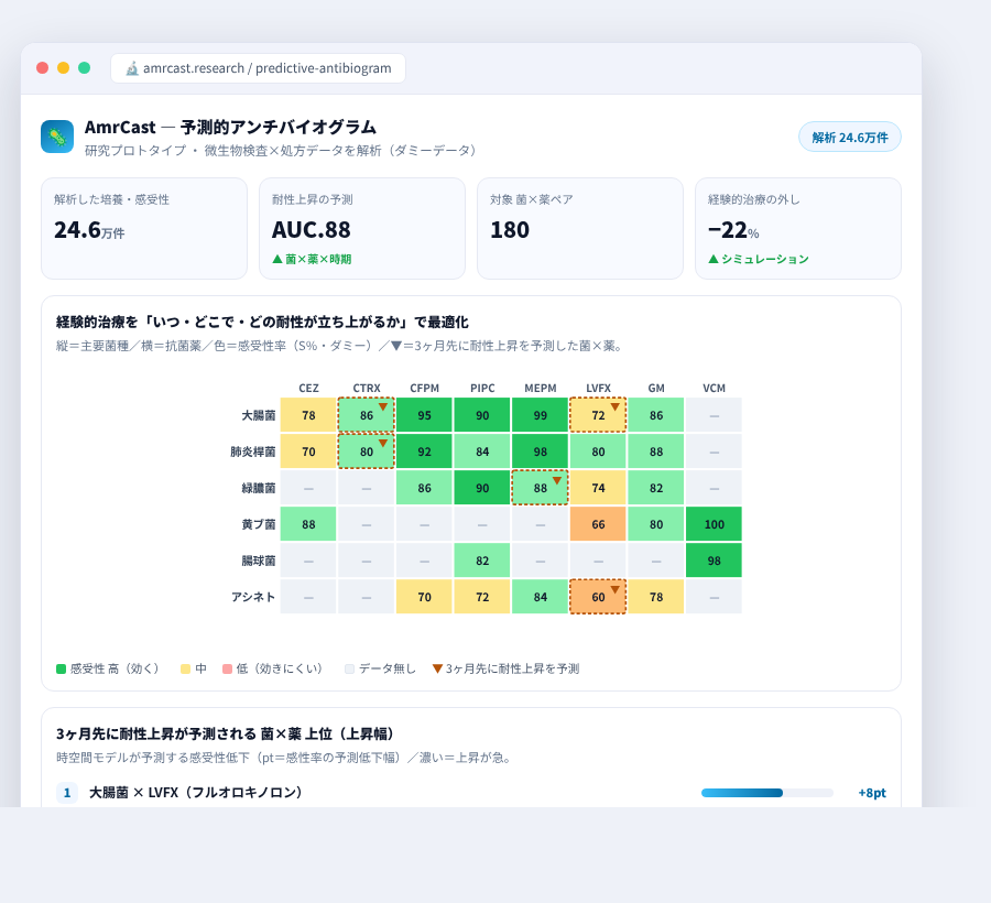 AmrCast の完成イメージ