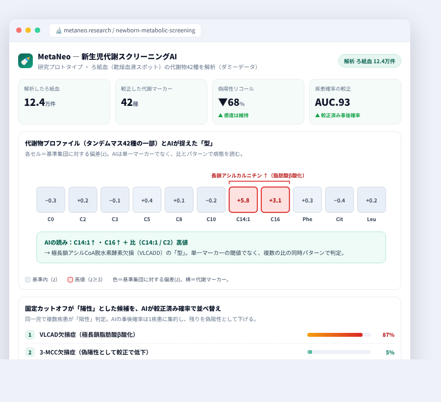 MetaNeo の完成イメージ