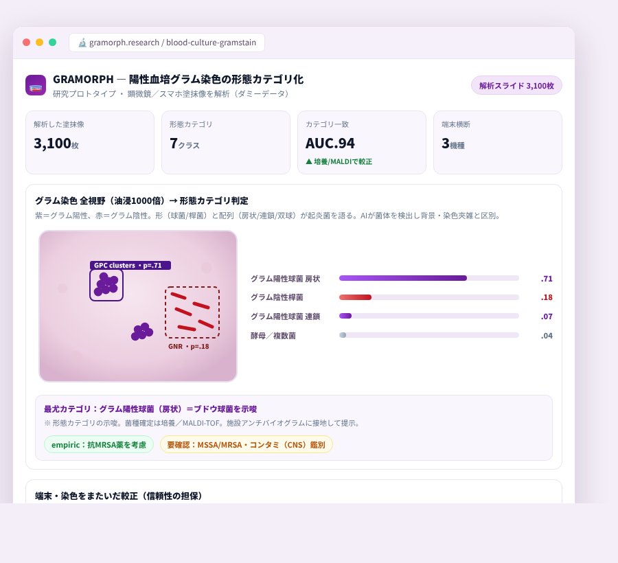 GRAMORPH の完成イメージ