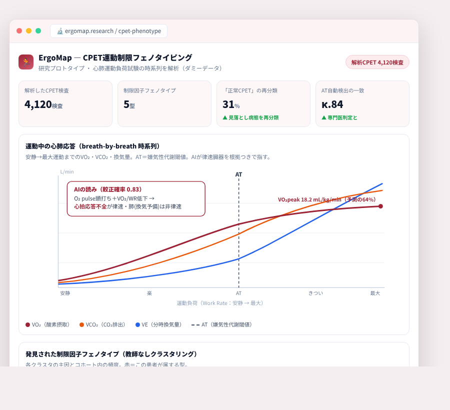 ErgoMap の完成イメージ